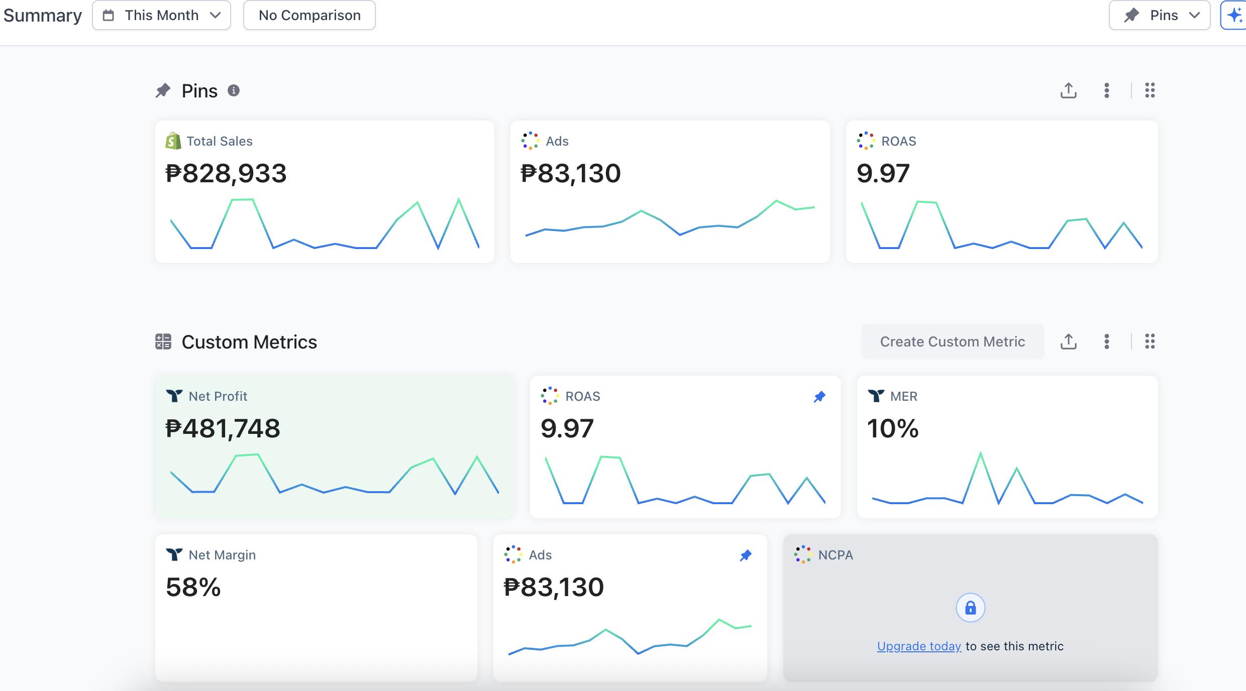 Anonymized profit dashboard showing ₱828,933 total sales, ₱83,130 ad spend, 9.97 ROAS, ₱481,748 net profit, and 58% net margin for one month